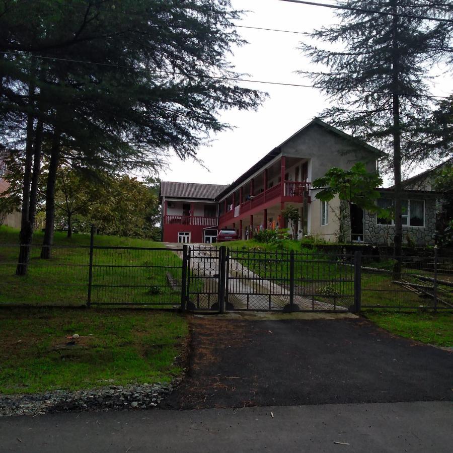 Hotel Poseidon Shekhvetili Zewnętrze zdjęcie